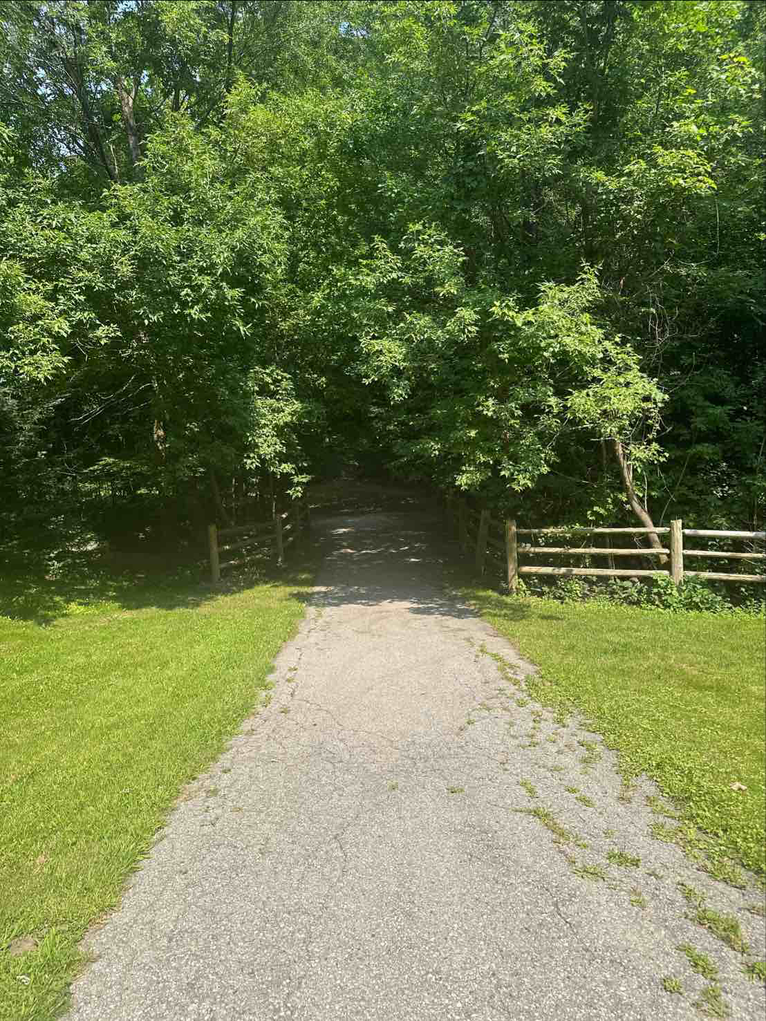 Area